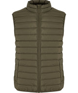 Light puffer vest
